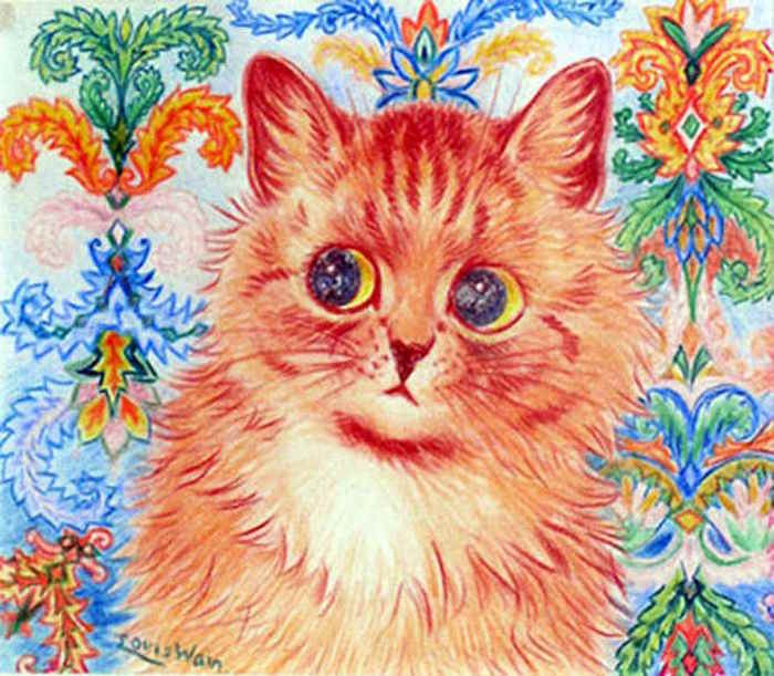 A fluffy ginger kitten on a floral pattern background
