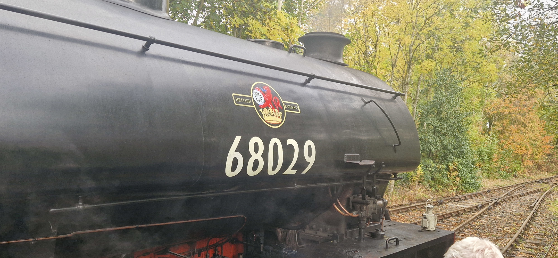 A black locomotive labelled “68029” bearing the British Railways badge: Issuant from a crown composed of a rose a thistle a leek and an oak leaf Or a demi-lion Gules holding between the paws a railway wheel Argent.