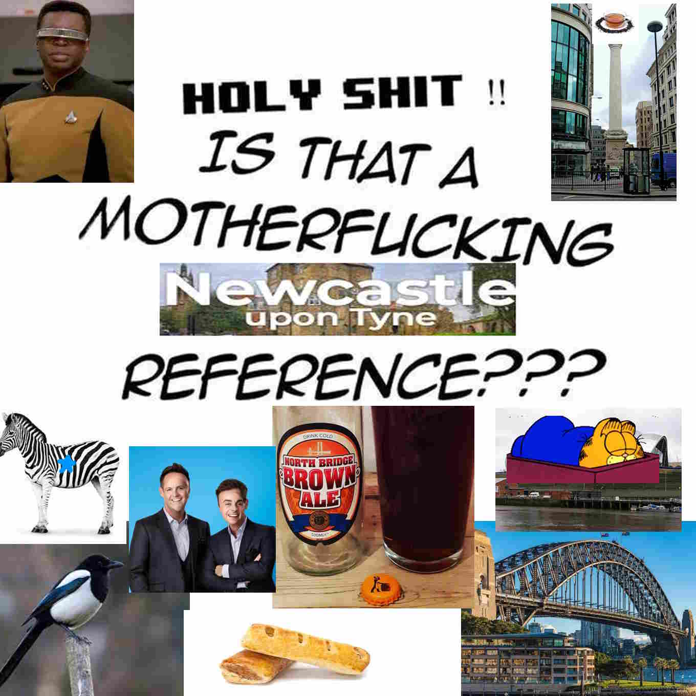 Meme captioned "Holy shit!! Is that a motherfucking [Newcastle upon Tyne] reference???" surrounded by various things which almost look like things from Newcastle