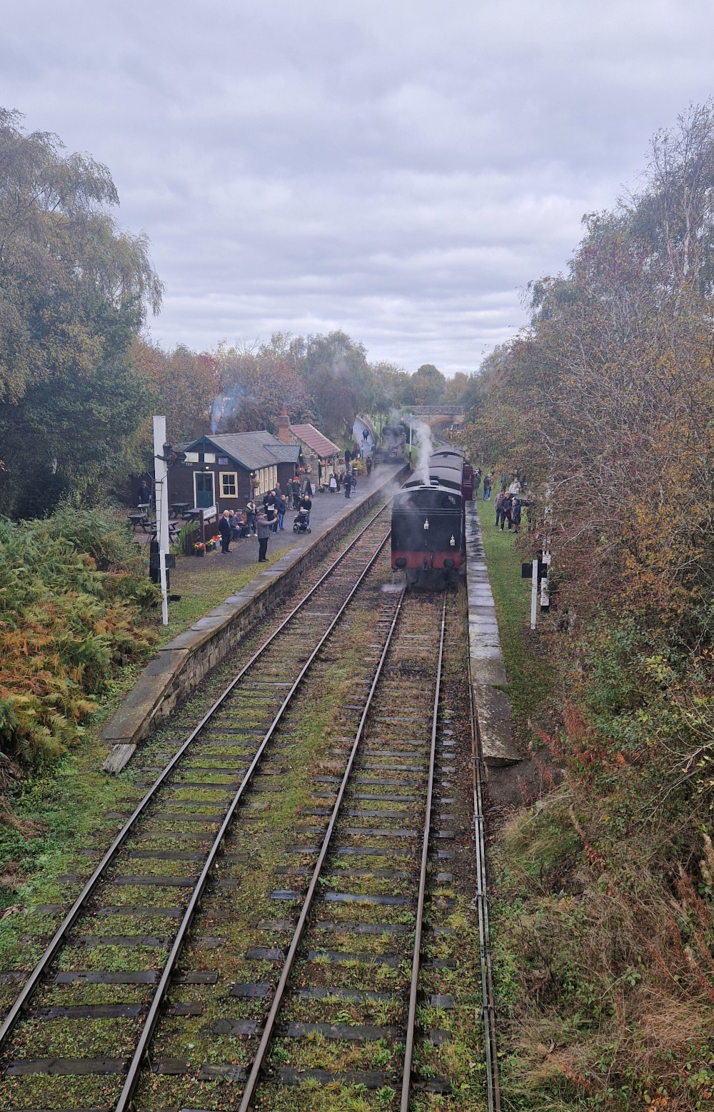 An elevated view of Andrews House station on the Tanfield Railway, showing a steam train stopped at the platform with people gathered around, flanked by trees and greenery under an overcast sky.