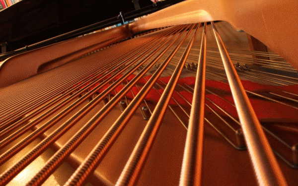The strings of a piano.