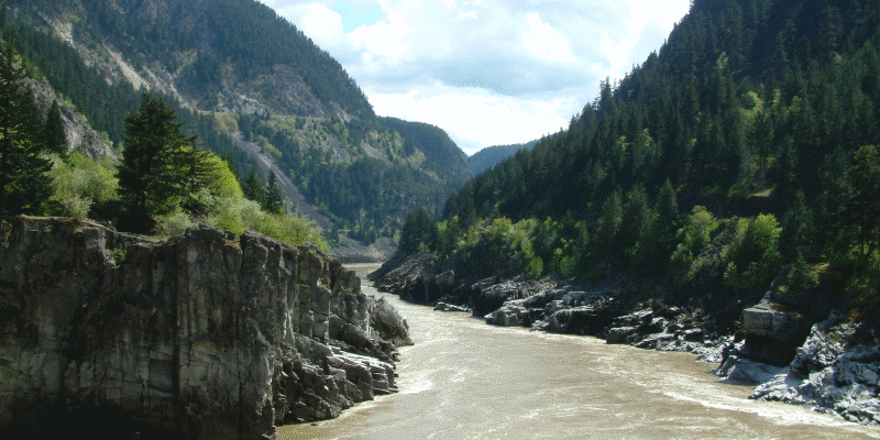 A river cutting through forested terrain.