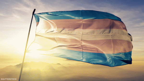 A waving transgender flag.