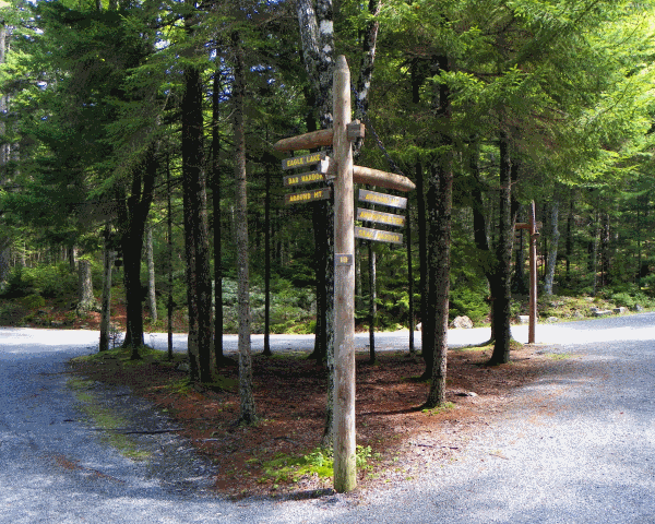 A three-way intersection with a waypost.